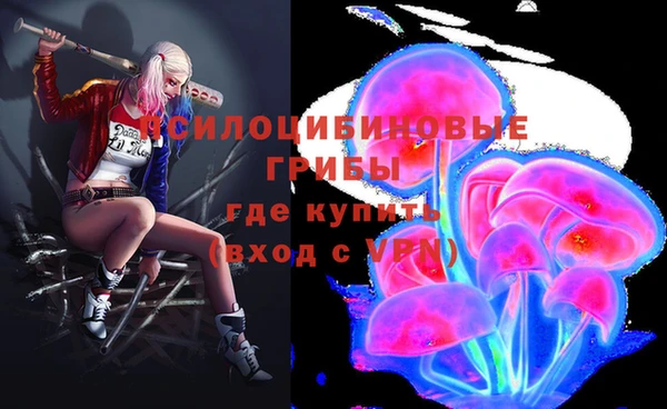 не бодяженный Алексин
