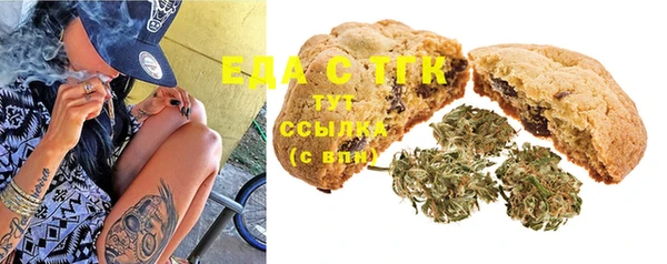 индика Алзамай