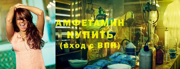 индика Алзамай